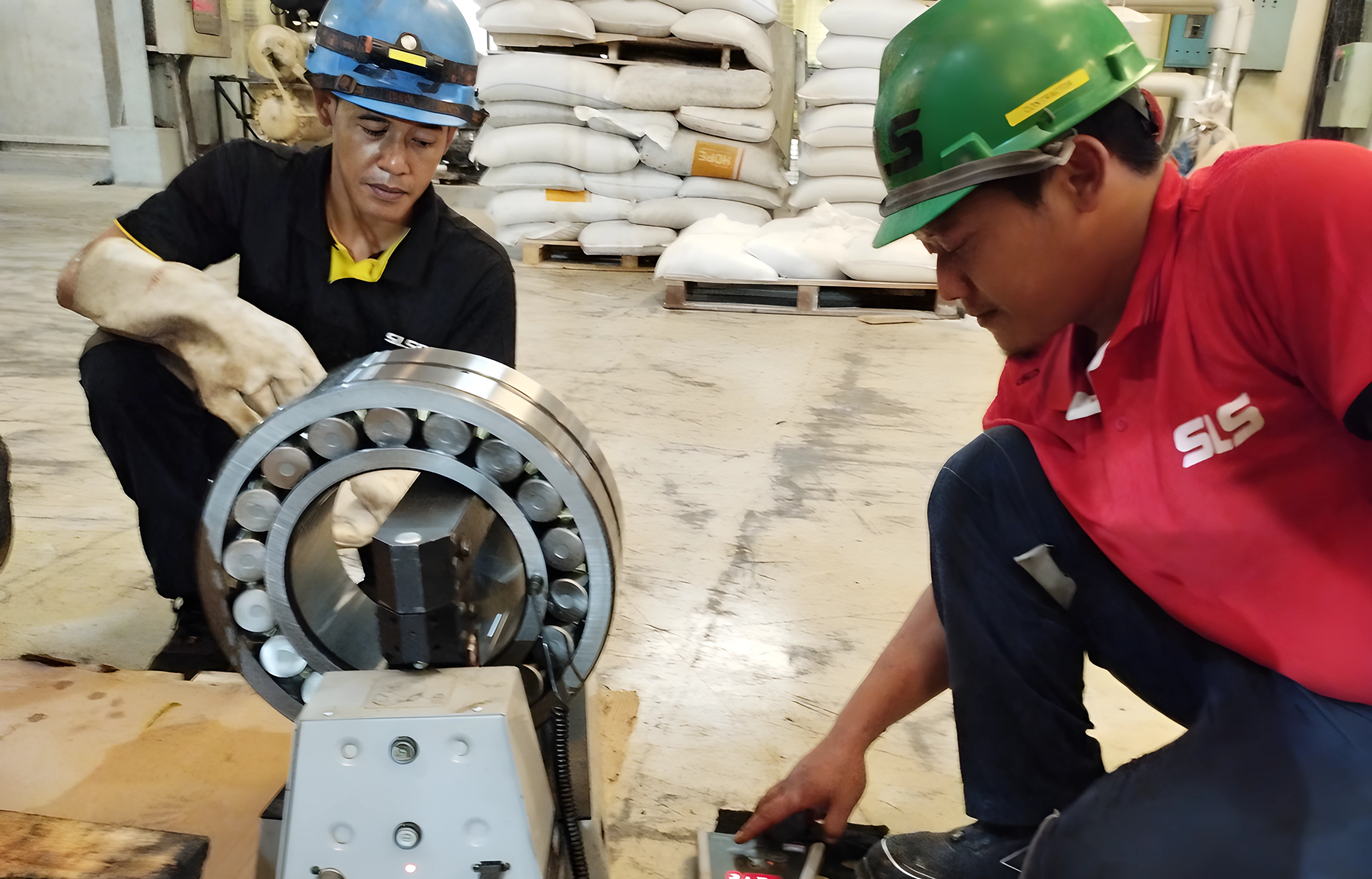 Bearing and Lubricant Inspection for Optimal Machine Performance